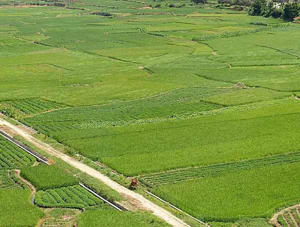 有機肥設備在生產(chǎn)中所帶來的經(jīng)濟價值